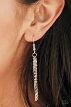 Load image into Gallery viewer, Zoo Zone - Silver
